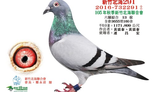 修正的风寒感冒颗粒是小儿的么-修正大风寒颗粒网—知名的修正风寒感冒颗粒8g说明书网站,分享修正风寒颗粒的作用与功效知识