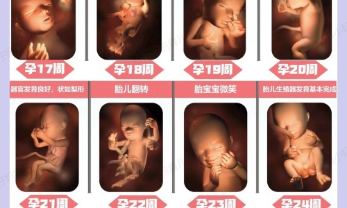 修正风寒颗粒换包装了吗-修正大风寒颗粒网—知名的修正风寒感冒颗粒8g说明书网站,分享修正风寒颗粒的作用与功效知识